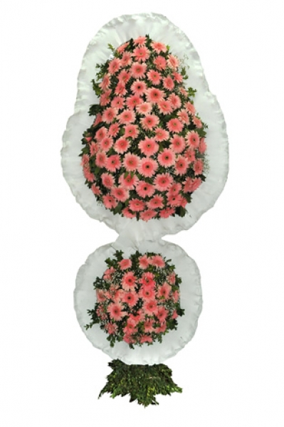 Orange Arbor Rose